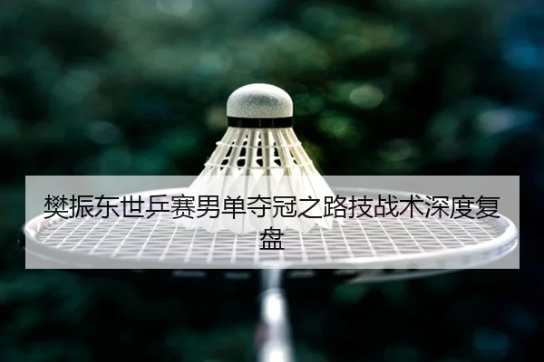 樊振东世乒赛男单夺冠之路技战术深度复盘